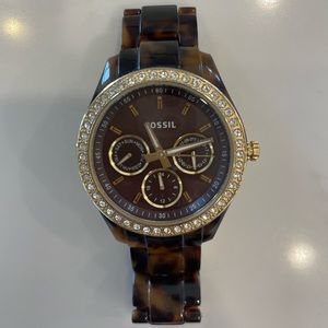 Fossil tortoise shell watch